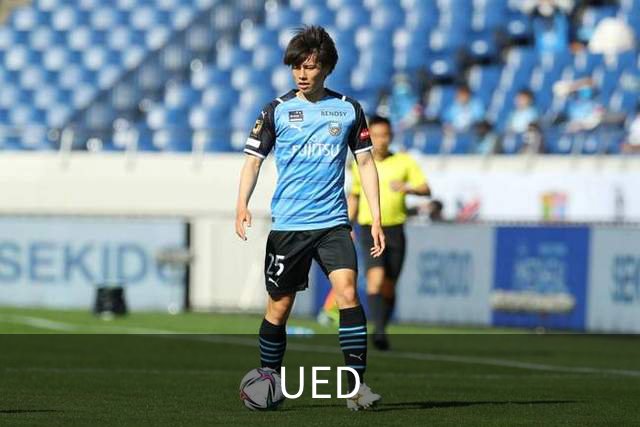 UED公司简介图片